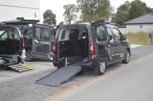 Citroën Berlingo III M 1.5 BlueHDI Feel Pack S&S N1 2020