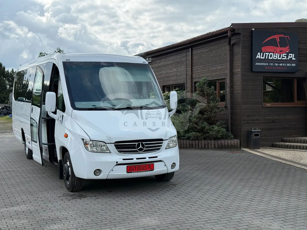 Mercedes-Benz Vario 2010