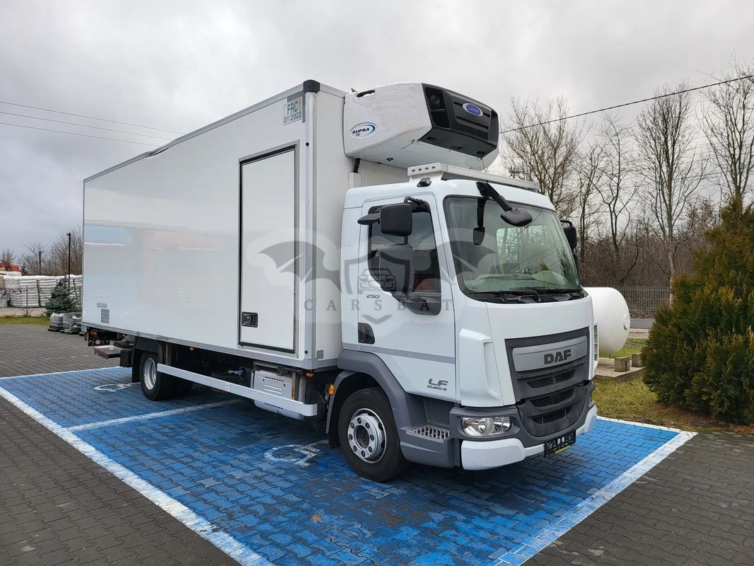 Daf Fl 250 2016