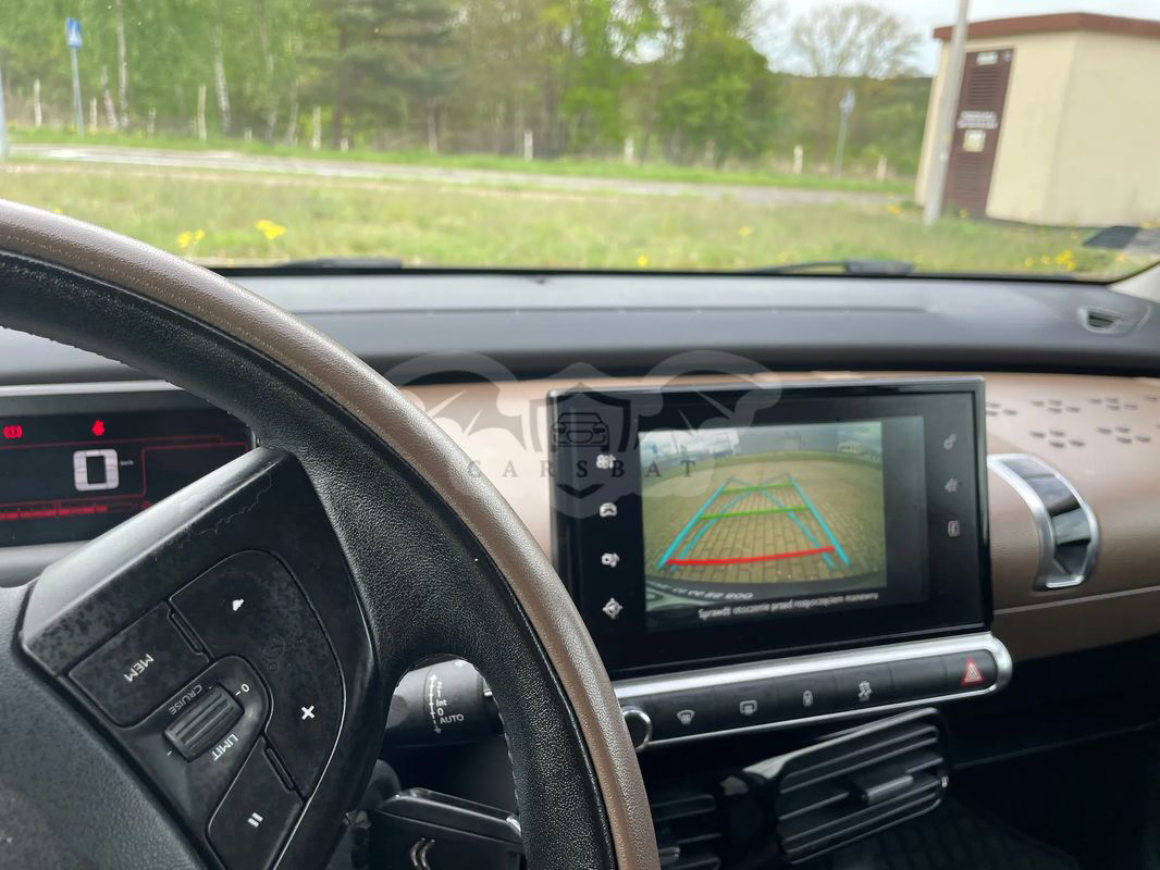 Citroën C4 Cactus 2017