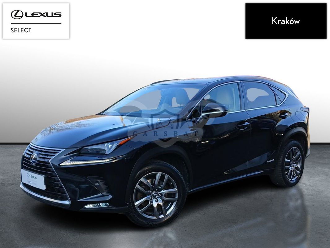Lexus NX I 2017