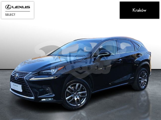 Lexus NX I 2017