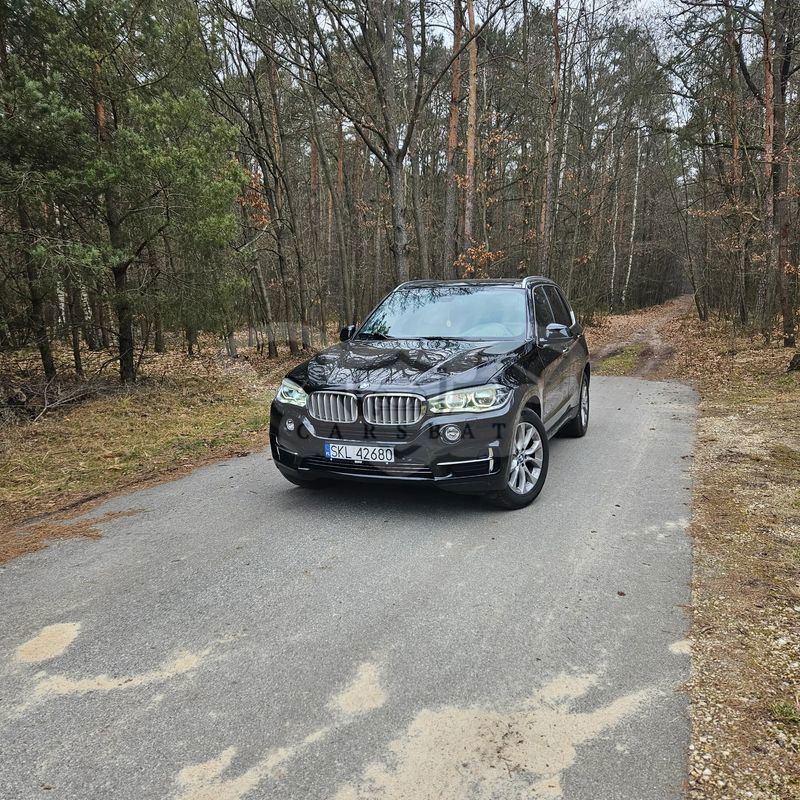 BMW X5 F15 xDrive40d 2014