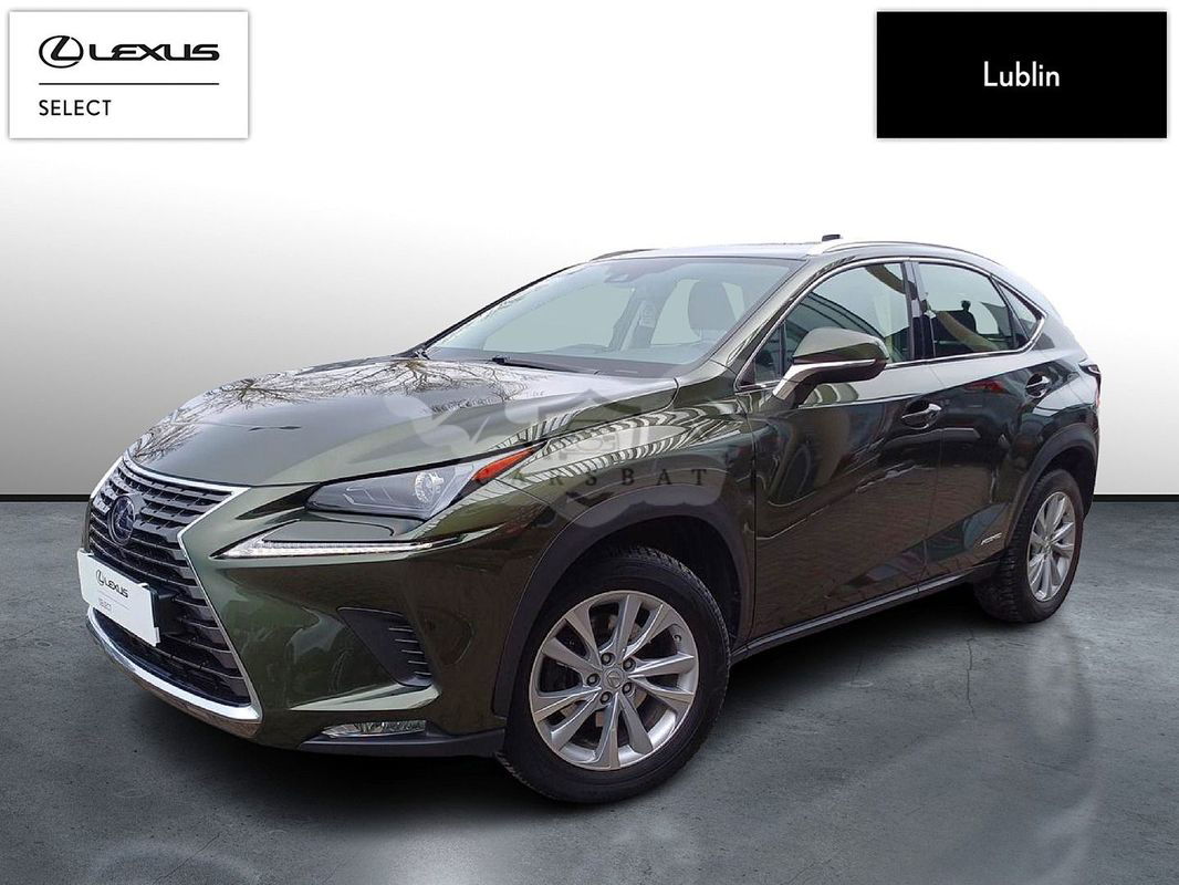Lexus NX I 2021