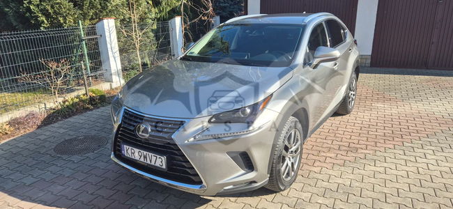 Lexus NX I 300h Business Edition AWD 2020