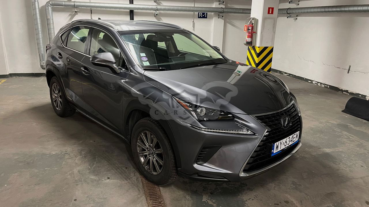 Lexus NX I 300h Business Edition 2019
