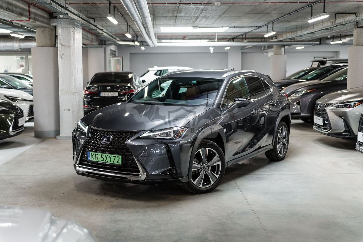Lexus UX 2022
