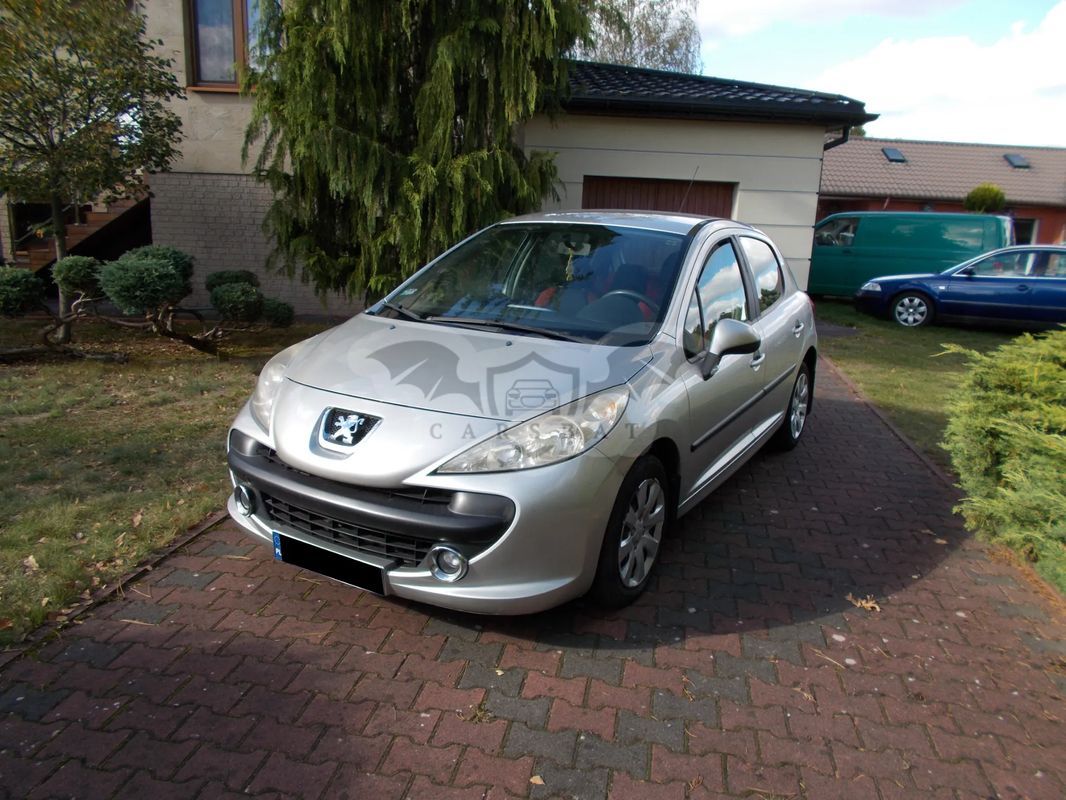 Peugeot 207 2009