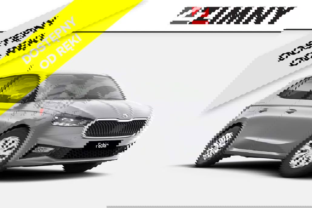 Skoda Fabia IV 1.0 TSI Selection DSG 2024