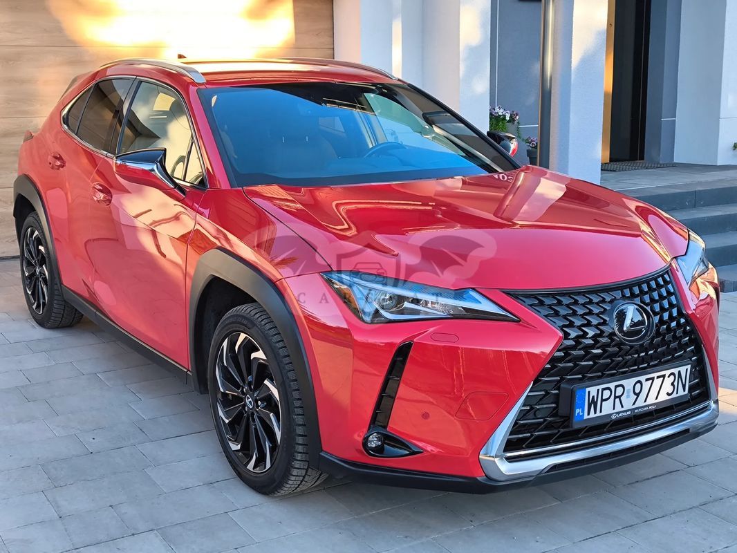 Lexus UX 200 GPF Business Edition 2WD 2020