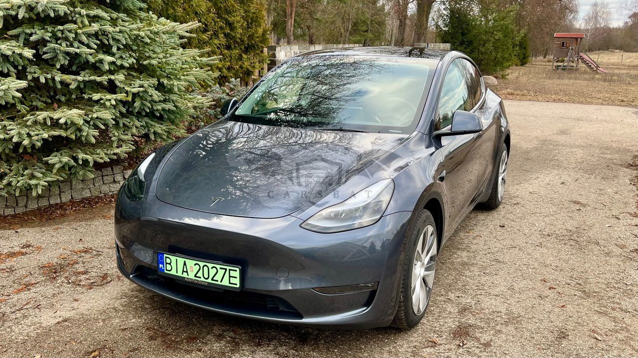 Tesla Model Y Model Long Range Dual Motor AWD 2023