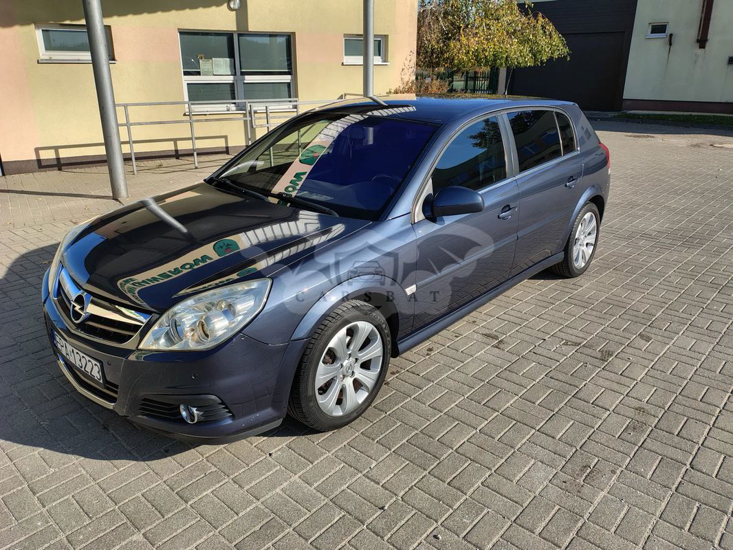 Opel Signum 2008