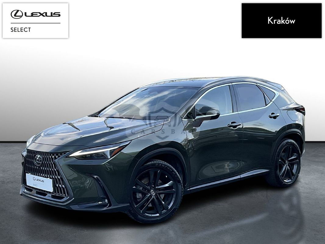 Lexus NX II 2021
