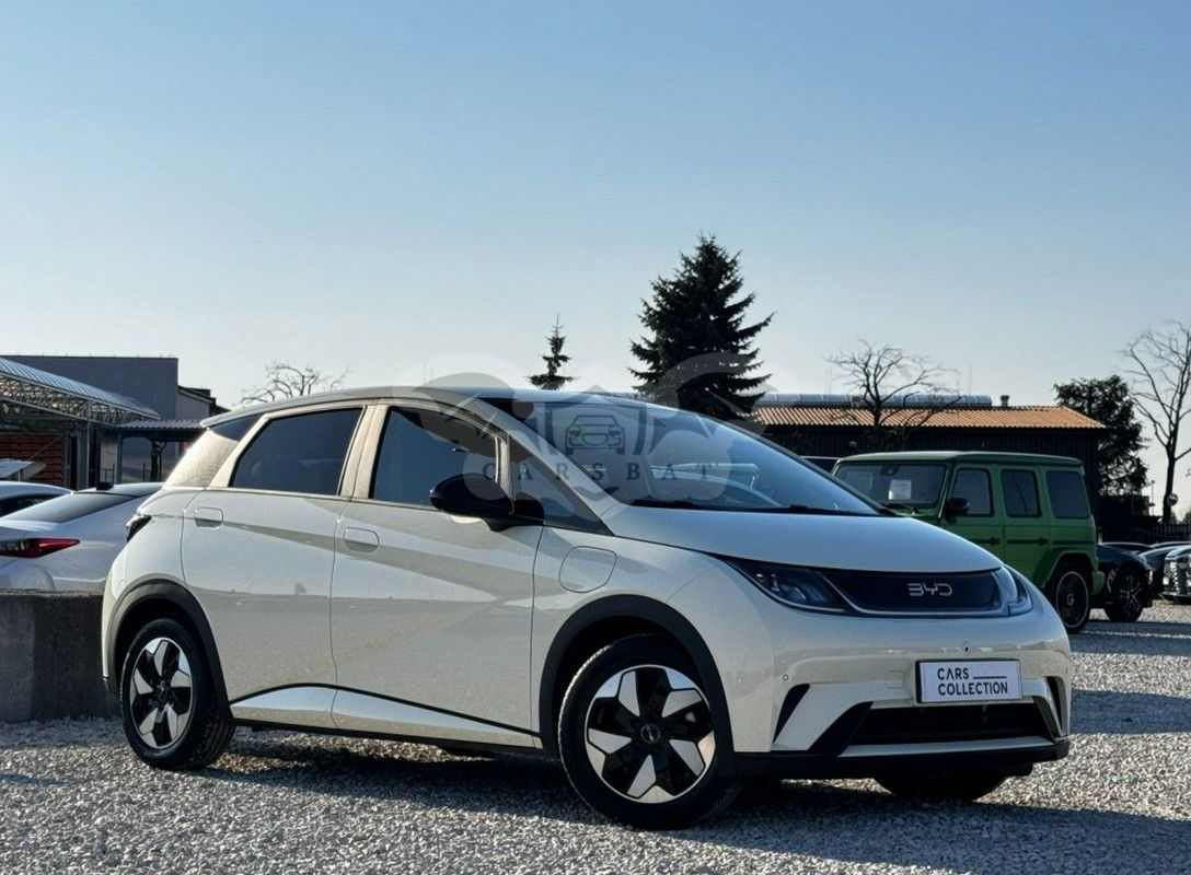 BYD Dolphin Active 2024