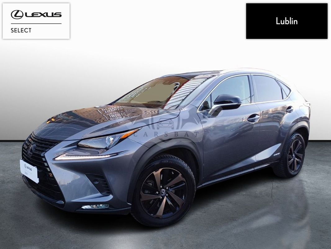 Lexus NX I 2019