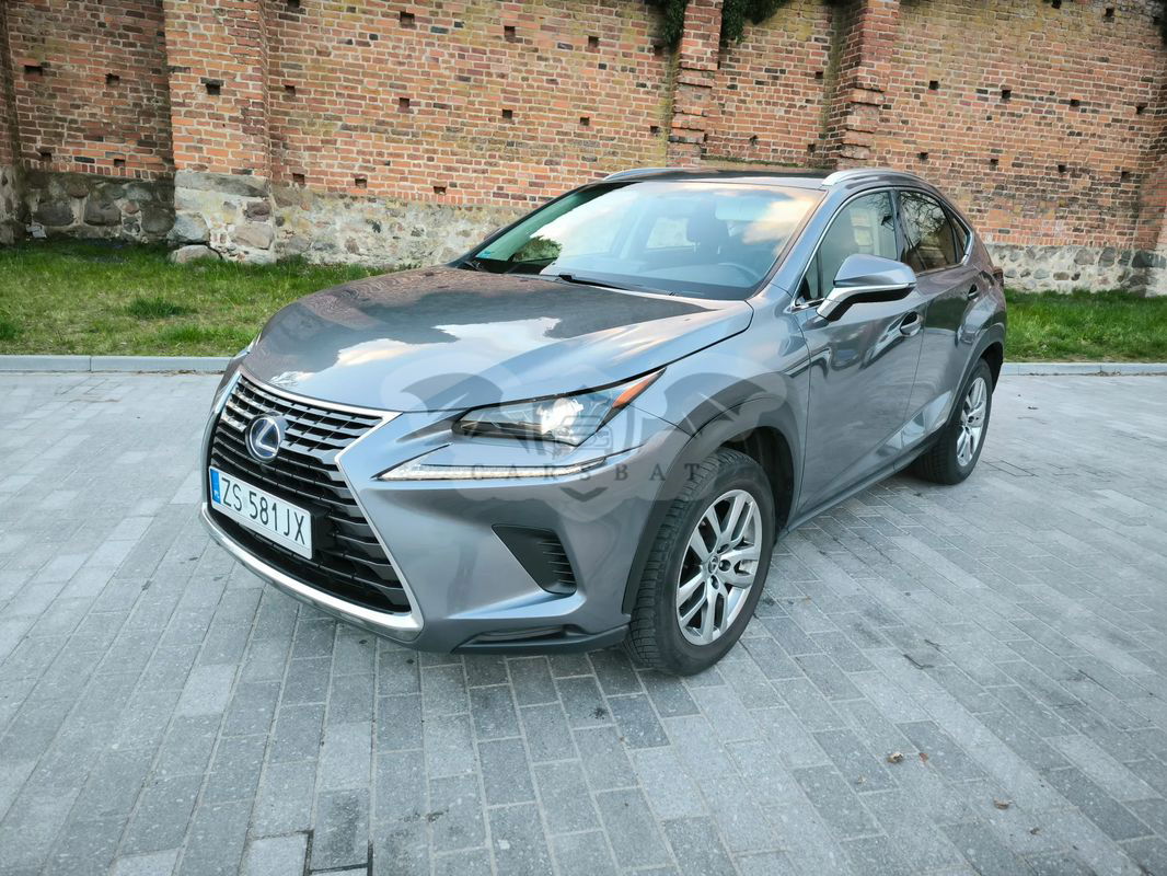 Lexus NX I 300h Elegance AWD 2018
