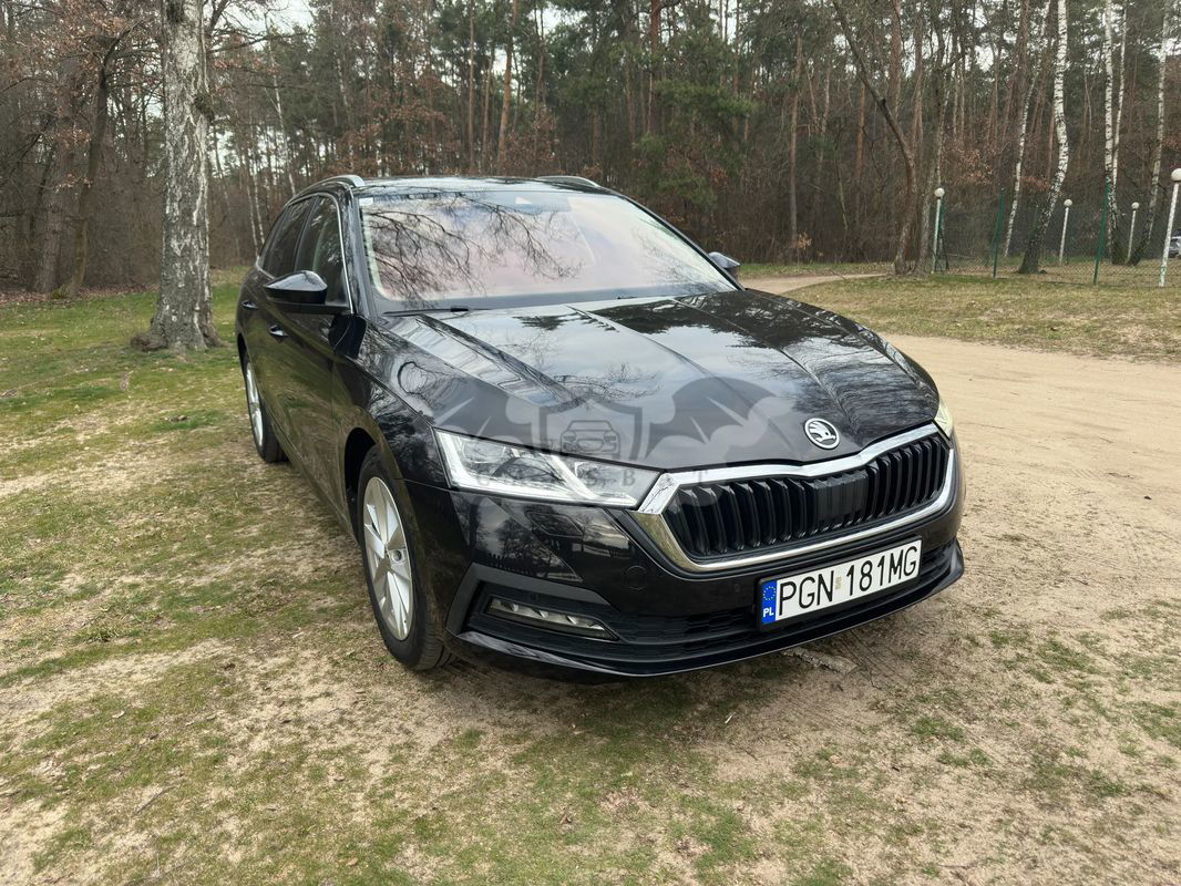 Skoda Octavia IV 2.0 TDI Ambition DSG 2023