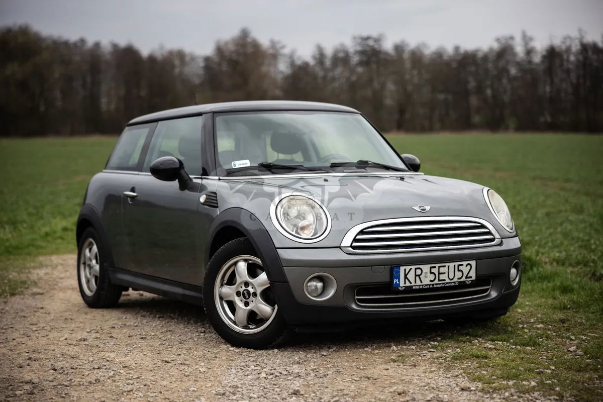Mini Cooper Standard 2010
