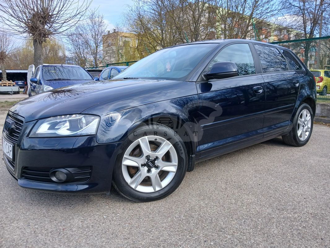 Audi A3 8P 2010