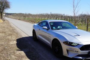 Ford Mustang 2019