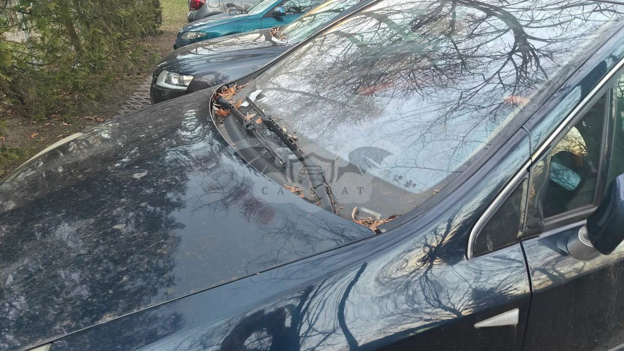 Renault Vel Satis 2002