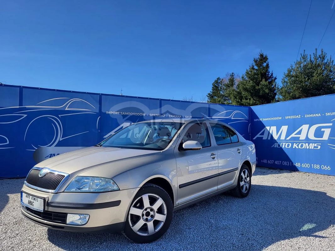 Skoda Octavia II 1.6 2006