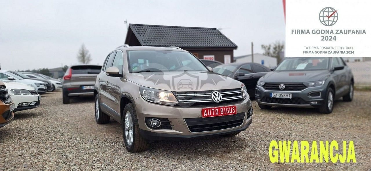 Volkswagen Tiguan I 2013