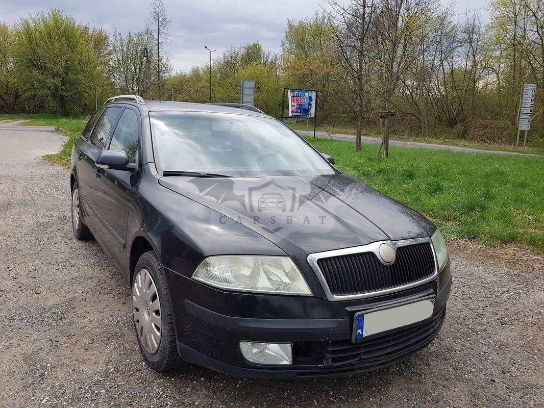 Skoda Octavia II 1.9 TDI Elegance 2006