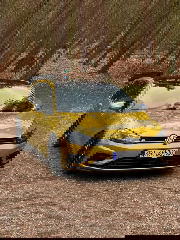 Volkswagen Golf VII VII 2.0 TSI BMT 4Mot R DSG 2017