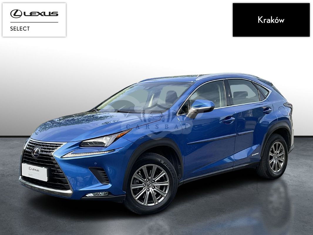 Lexus NX I 2017