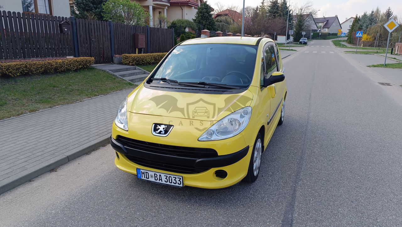 Peugeot 1007 75 Tendance 2005