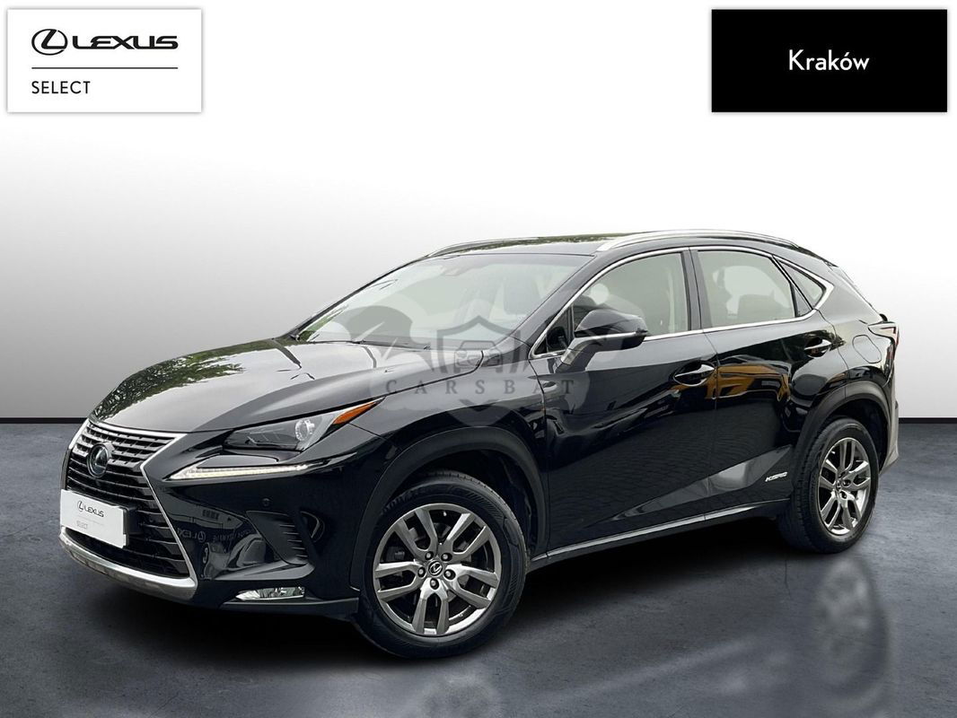 Lexus NX I 2019