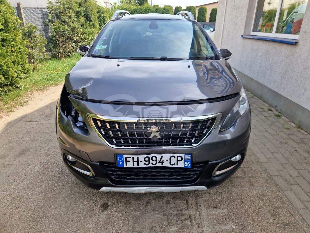 Peugeot 2008 II 2019