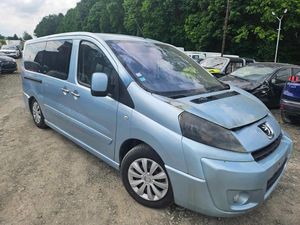 Peugeot Expert Tepee L2H1 (5-Si.) Premium 2009
