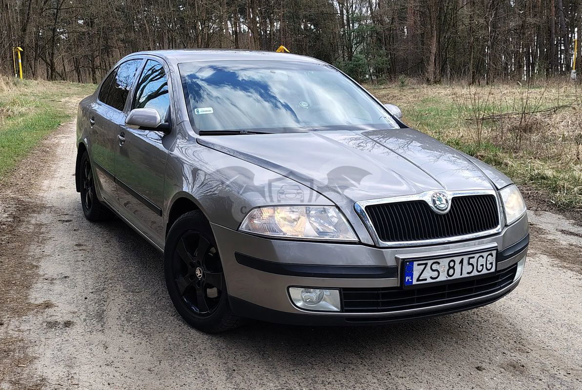 Skoda Octavia II 1.9 TDI Ambiente 2007