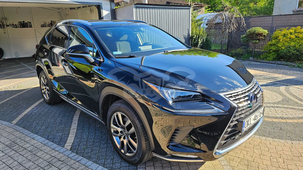 Lexus NX I 300h Business Edition AWD 2019