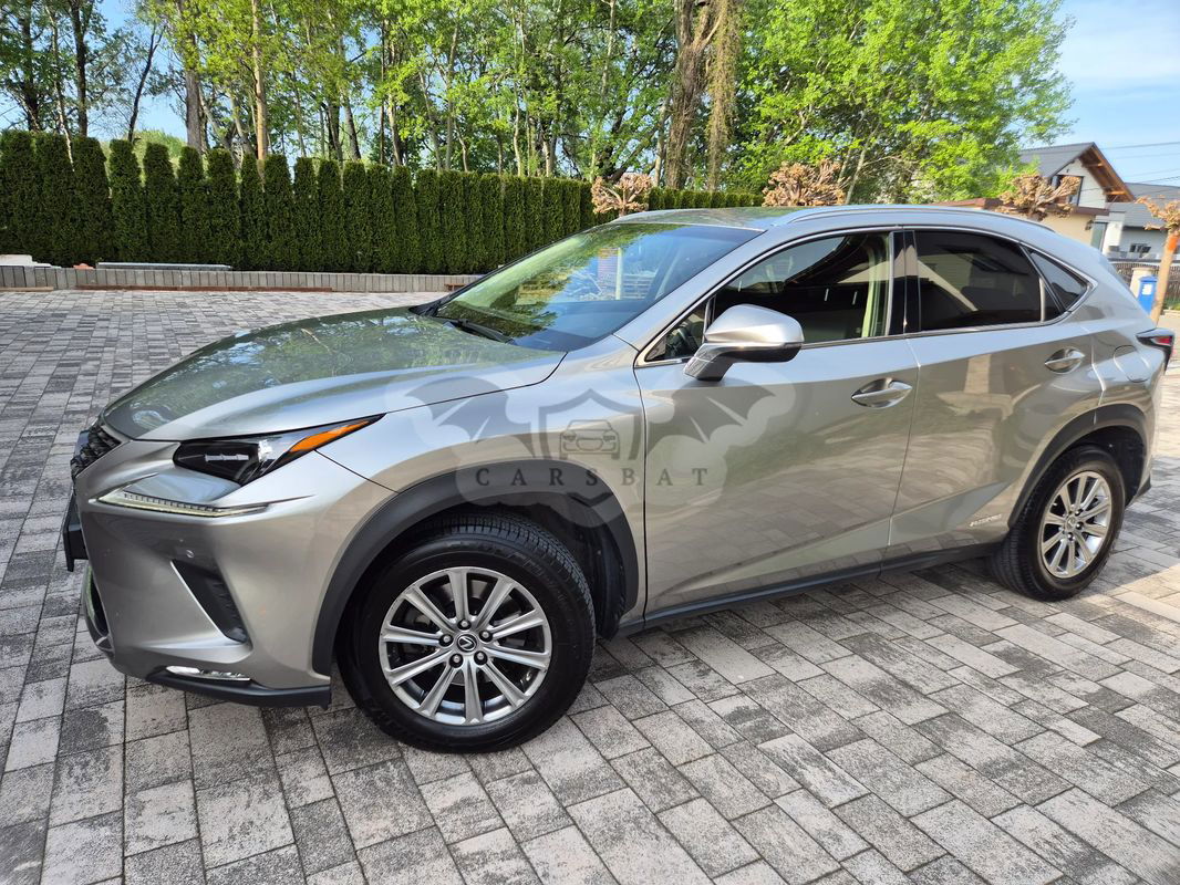 Lexus NX I 300h Elegance + Business AWD 2018
