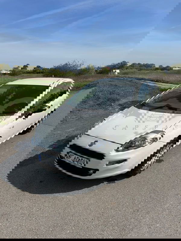 Fiat Punto 2014