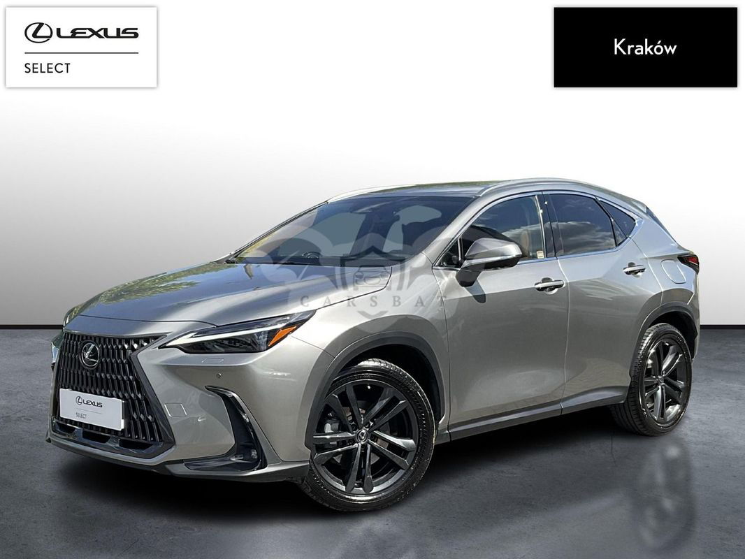 Lexus NX II 2022