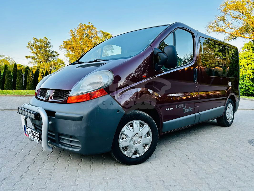 Renault Trafic II 2.0 16V Passenger Privilège 2004