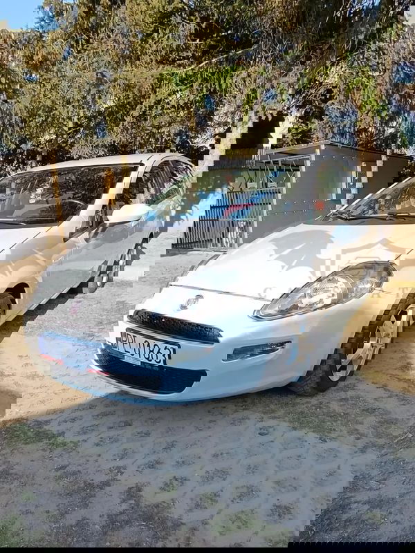 Fiat Punto 2012