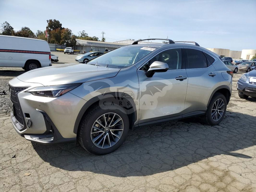 Lexus NX II 2024