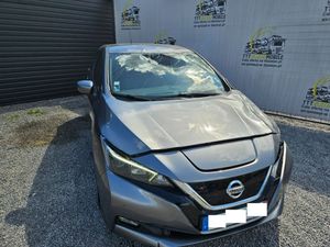 Nissan Leaf 2019