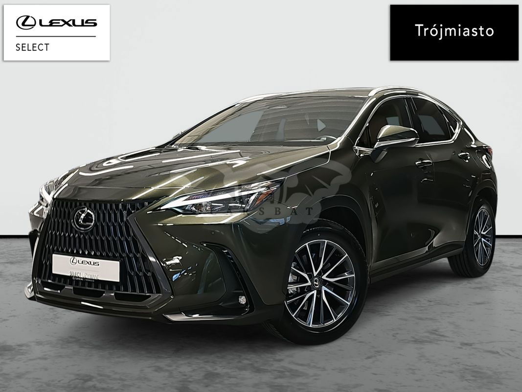 Lexus NX II 2024