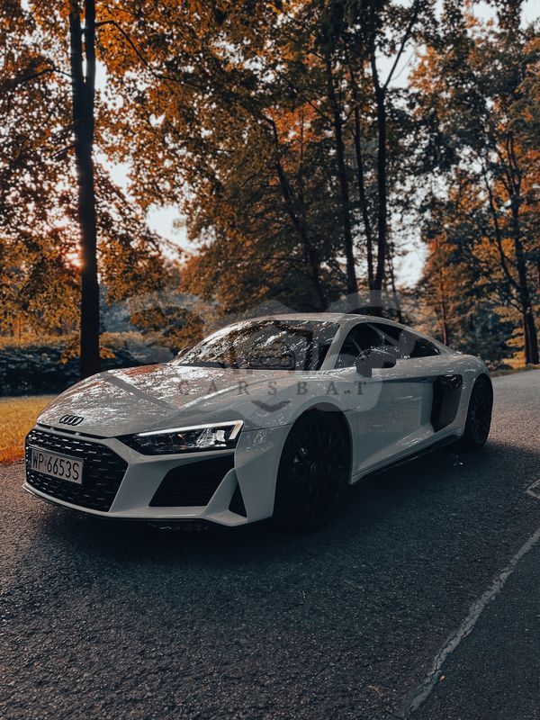 Audi R8 V10 RWD Performance 2024