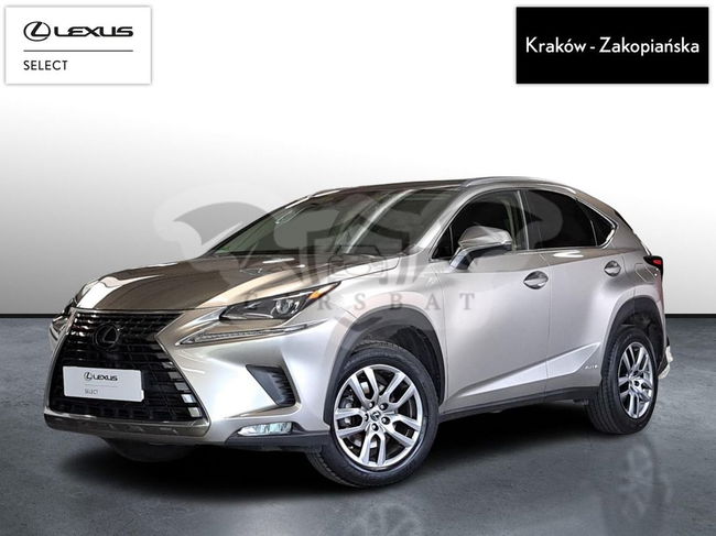 Lexus NX I 2020