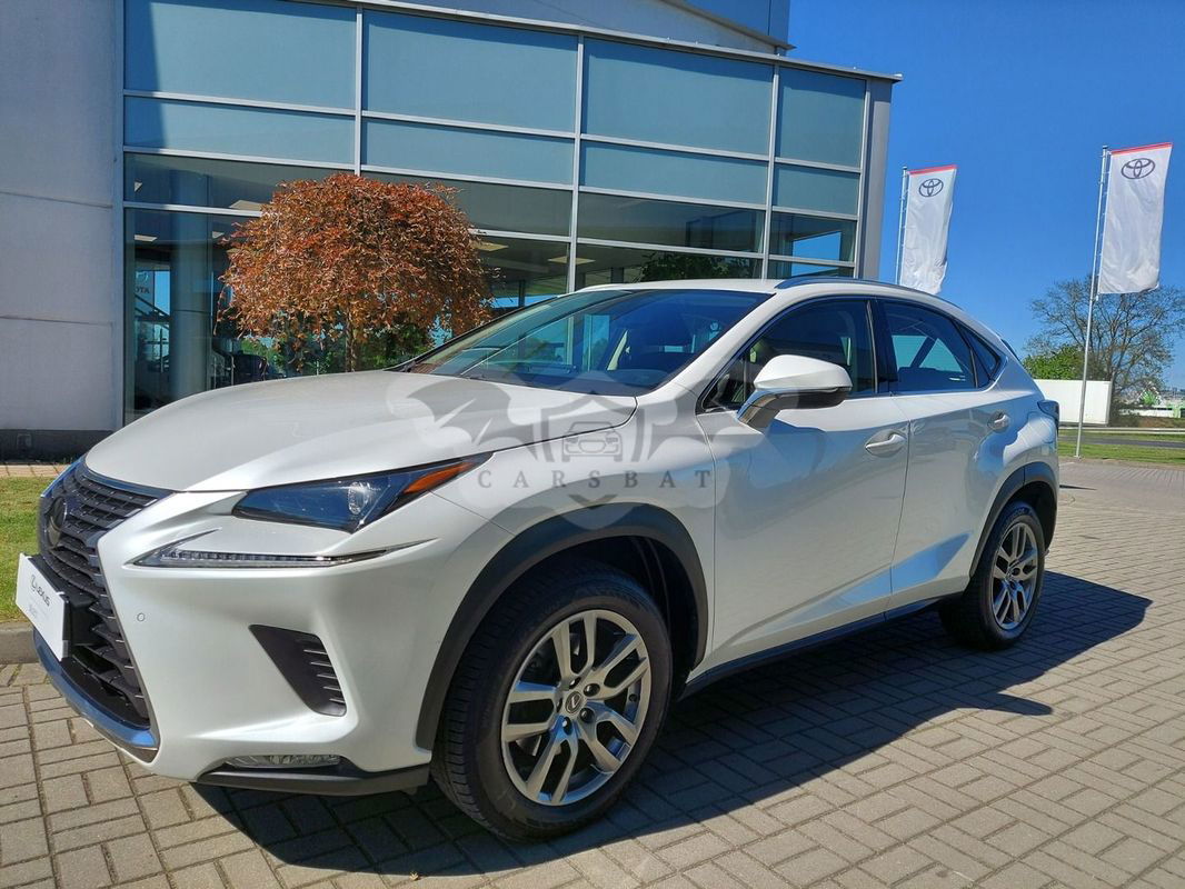 Lexus NX I 300 Optimum AWD 2019