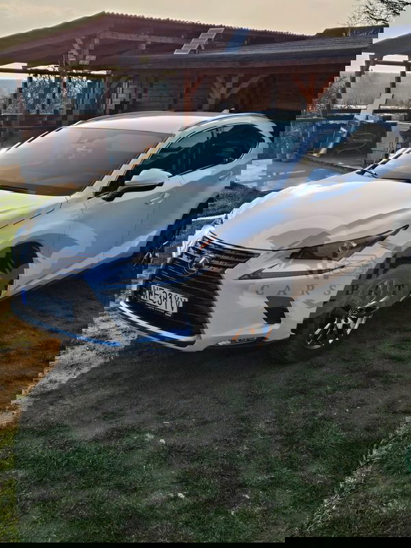 Lexus NX II 300 Elegance Optimum AWD 2020