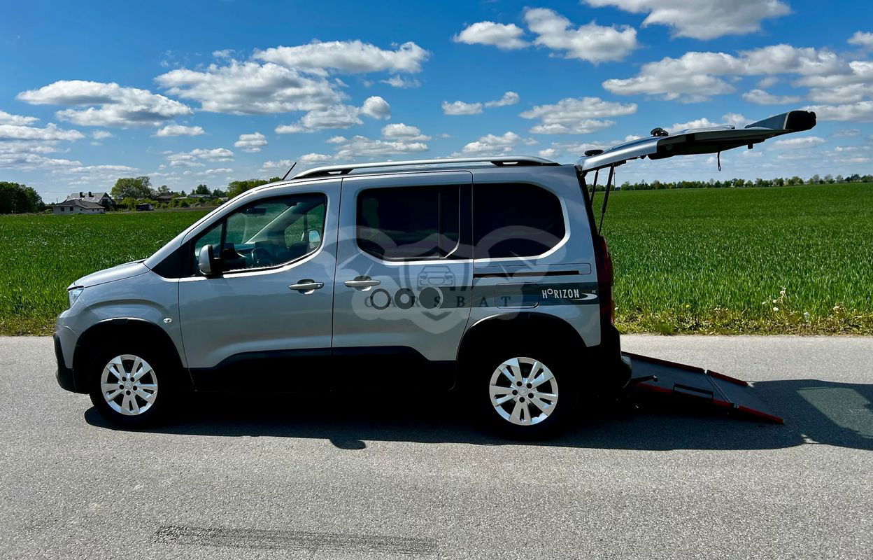 Peugeot Rifter 1.5 BlueHDI Active Pack S&S N1 2019