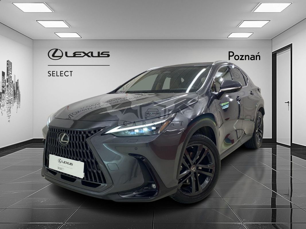 Lexus NX II 2022